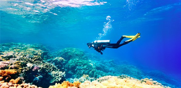 Scuba Diving Whitsundays things to do 